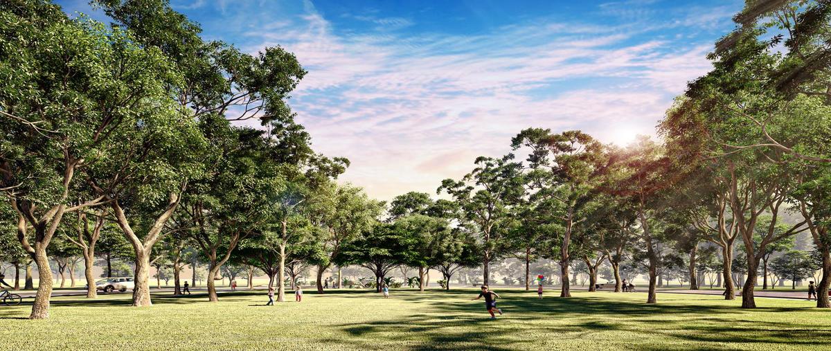 Foto de terreno habitacional en venta en  , mérida, mérida, yucatán, 0 No. 03