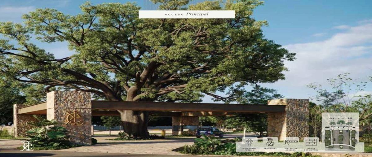 Foto de terreno habitacional en venta en  , mérida, mérida, yucatán, 28157447 No. 03