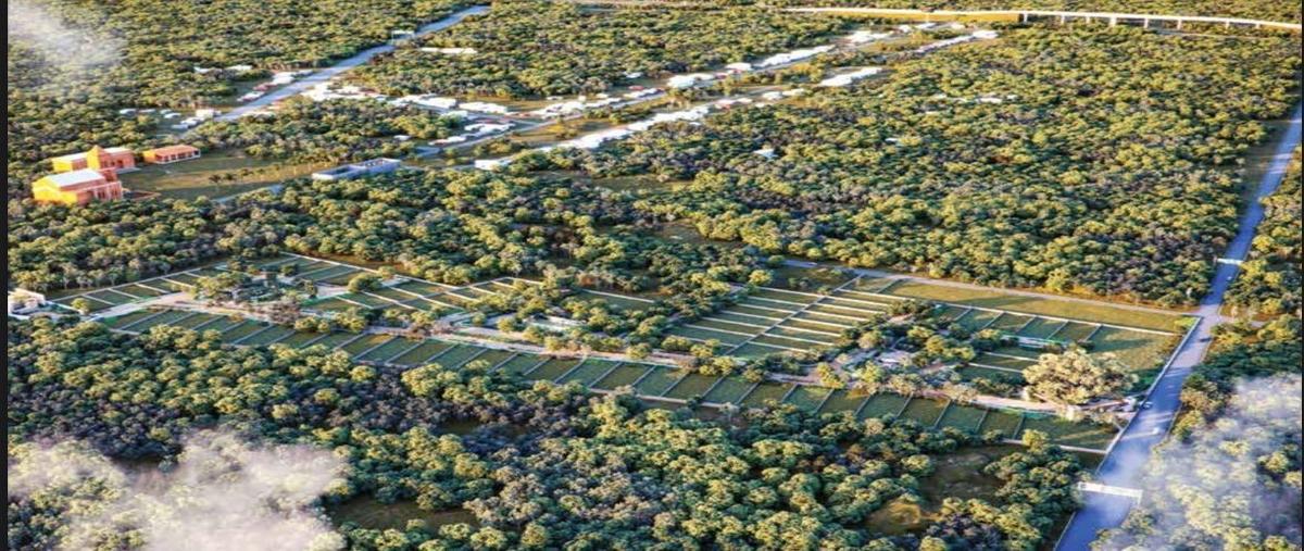 Foto de terreno habitacional en venta en  , mérida, mérida, yucatán, 28157447 No. 04