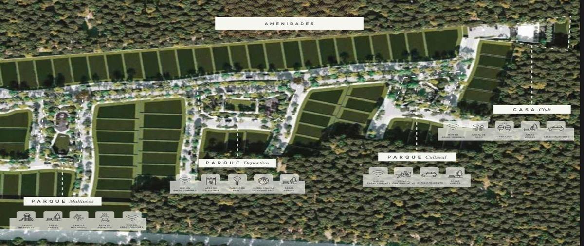 Foto de terreno habitacional en venta en  , mérida, mérida, yucatán, 28157447 No. 05