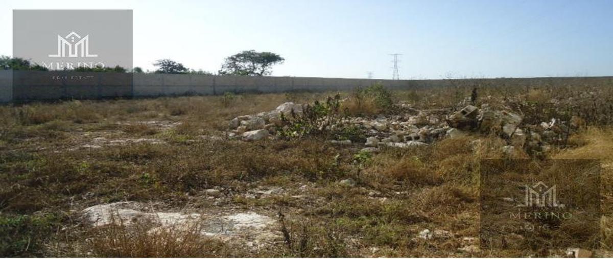 Foto de terreno habitacional en venta en  , mérida, mérida, yucatán, 28396248 No. 04