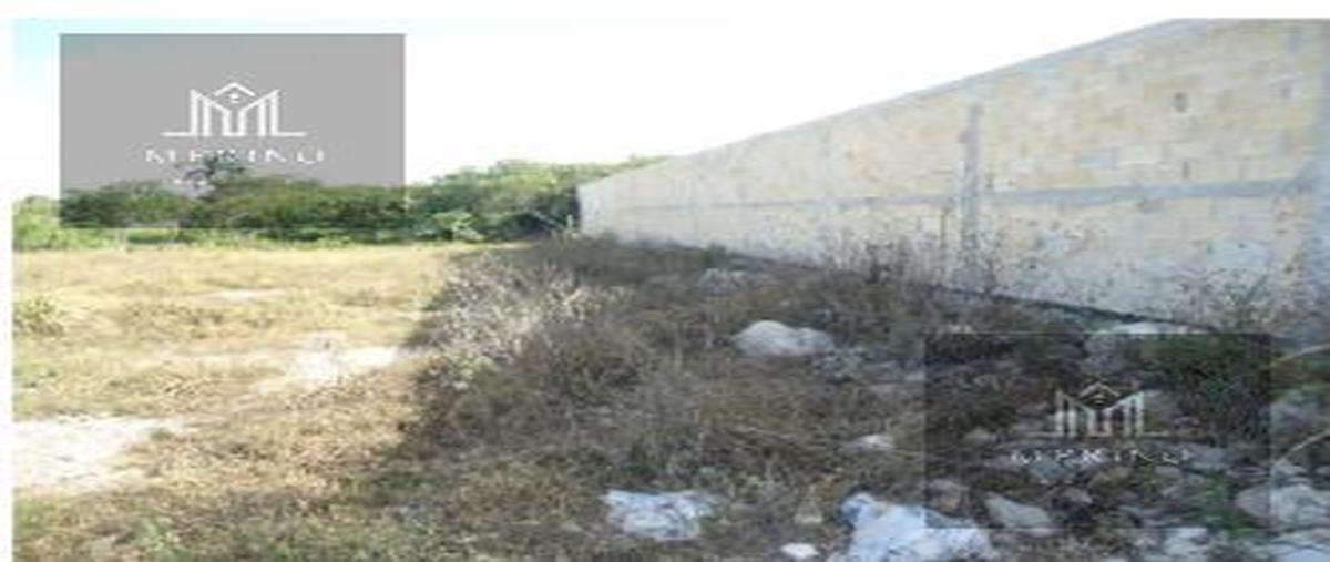 Foto de terreno habitacional en venta en  , mérida, mérida, yucatán, 28396248 No. 05