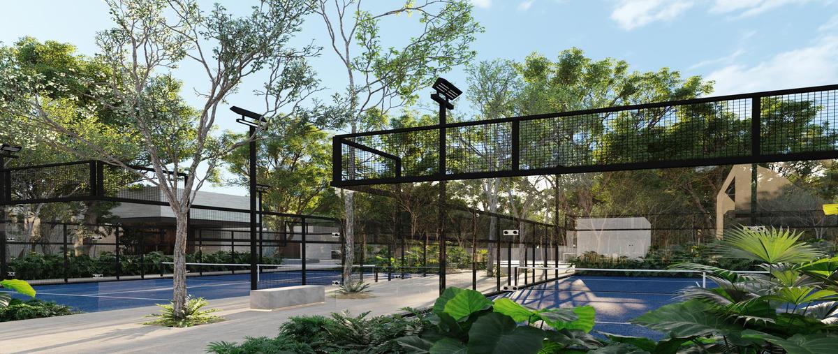 Foto de terreno habitacional en , mérida, mérida, yucatán, 28458654 foto 05 Foto de terreno habitacional en venta en , mérida, mérida, yucatán, 28458654 No. 05