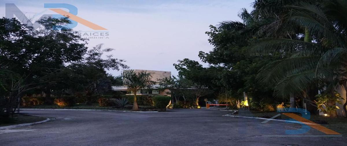 Foto de terreno habitacional en venta en  , mérida, mérida, yucatán, 29114818 No. 04