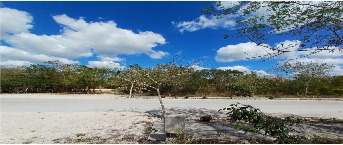 Foto de terreno habitacional en venta en  , mérida, mérida, yucatán, 0 No. 04
