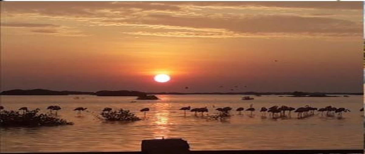 Foto de terreno habitacional en venta en  , mérida, mérida, yucatán, 0 No. 04