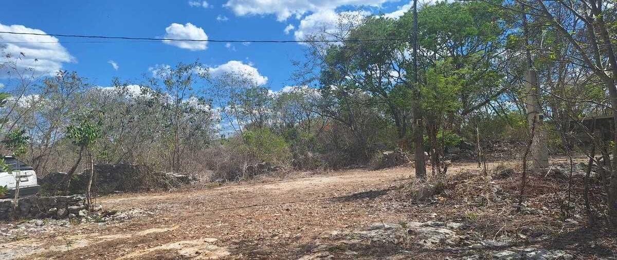 Foto de terreno habitacional en venta en  , mérida, mérida, yucatán, 29890671 No. 04