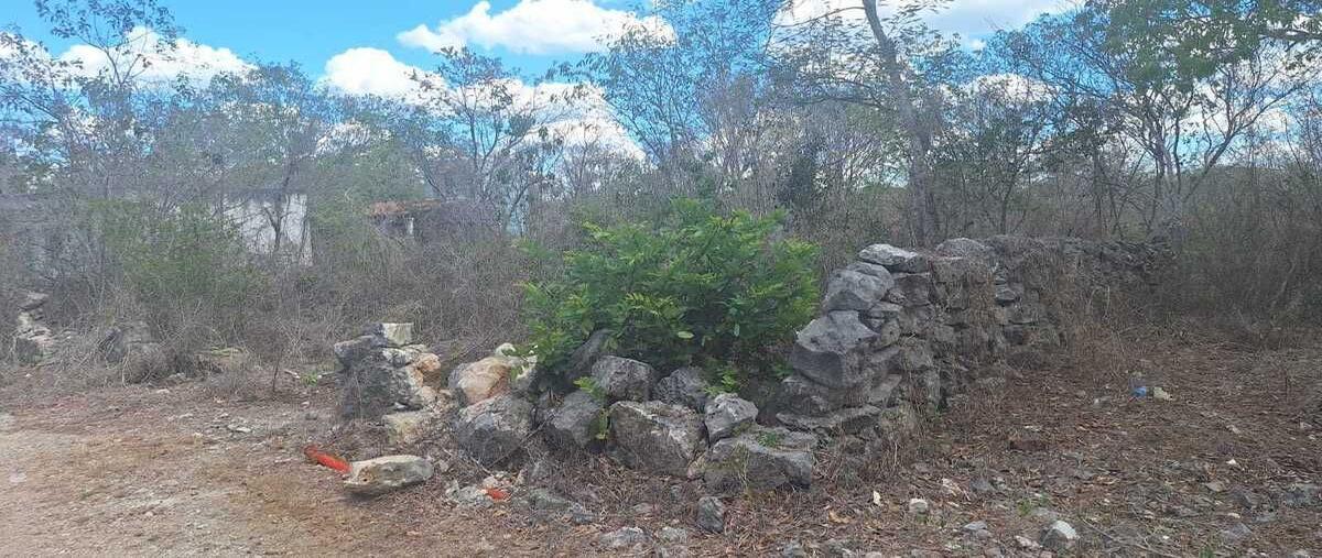 Foto de terreno habitacional en venta en  , mérida, mérida, yucatán, 29890671 No. 05