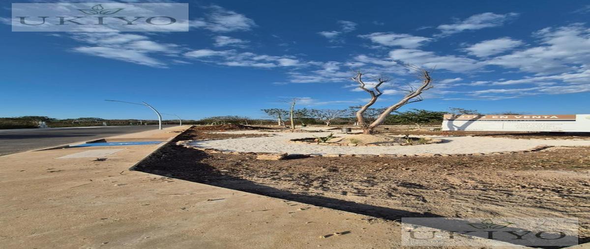 Foto de terreno habitacional en venta en  , mérida, mérida, yucatán, 29927052 No. 05