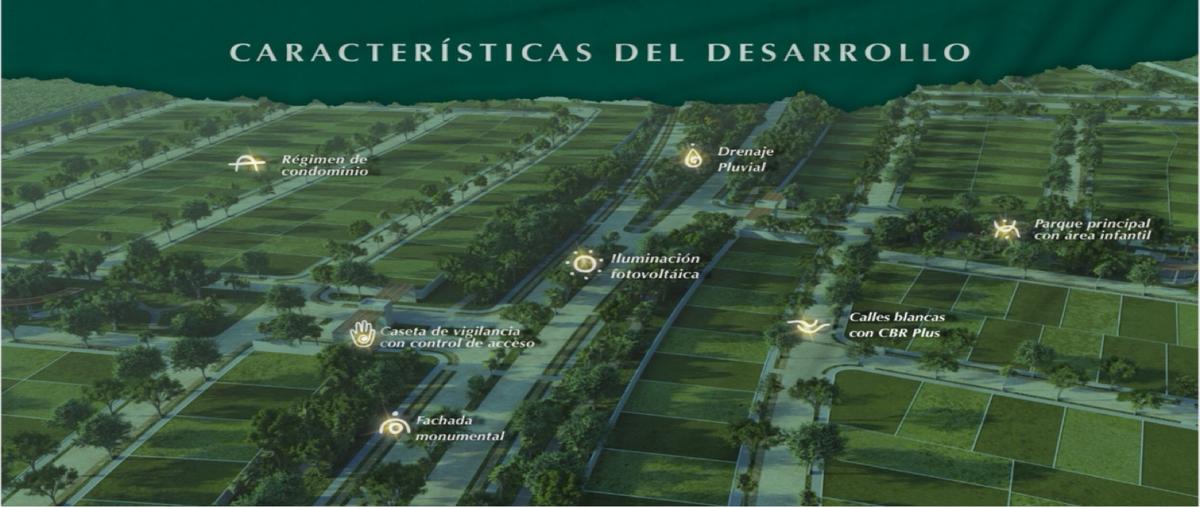 Foto de terreno habitacional en venta en  , mérida, mérida, yucatán, 30148110 No. 04