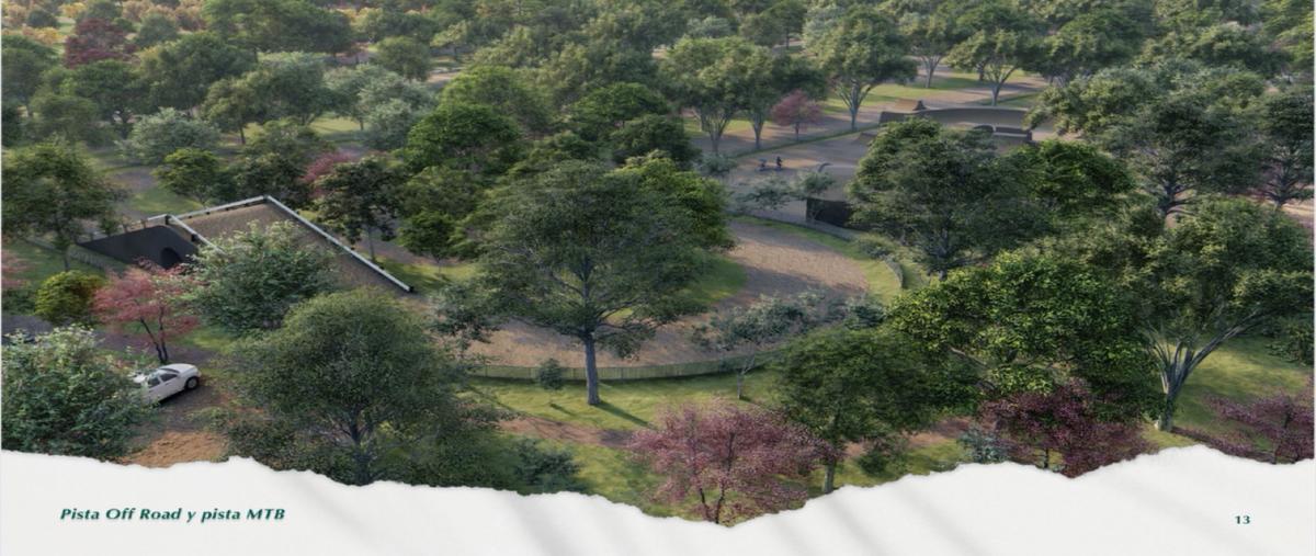 Foto de terreno habitacional en venta en  , mérida, mérida, yucatán, 30148110 No. 05