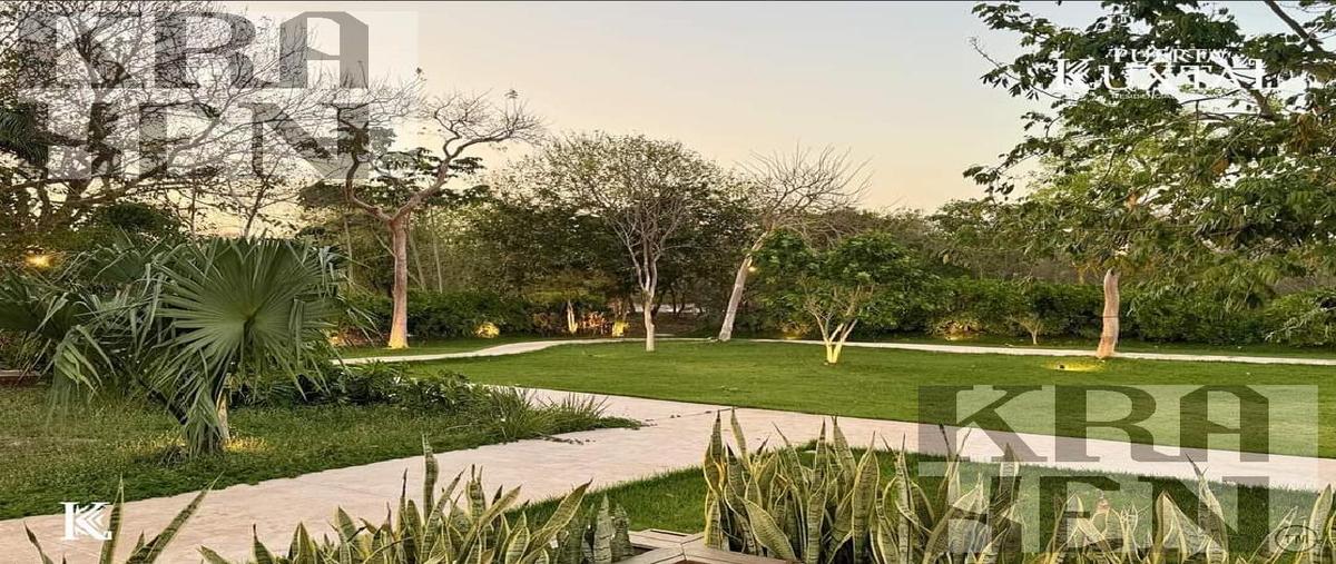 Foto de terreno habitacional en venta en  , mérida, mérida, yucatán, 30169529 No. 05