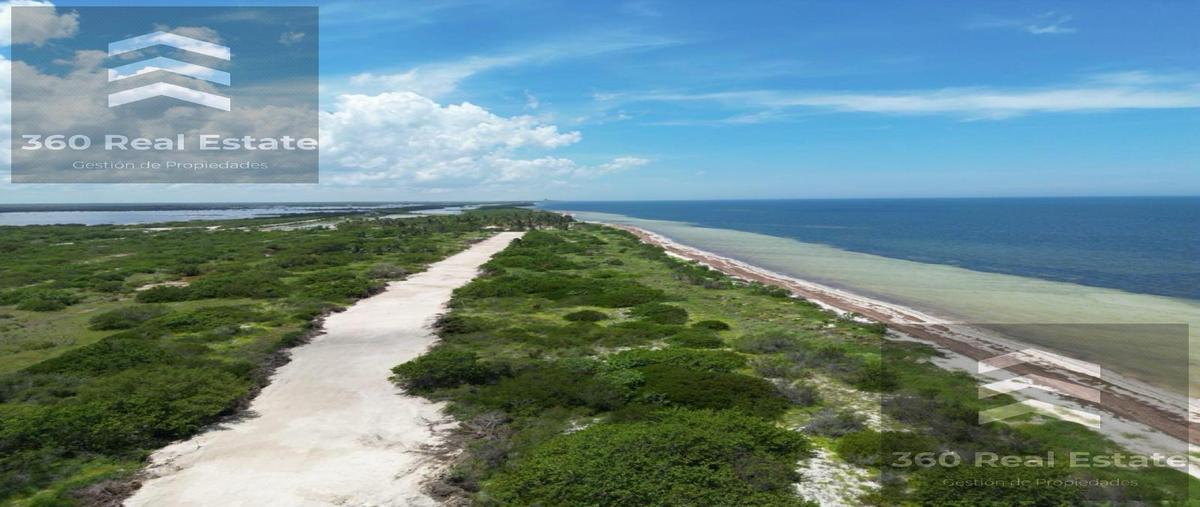 Foto de terreno habitacional en venta en  , mérida, mérida, yucatán, 30341543 No. 04