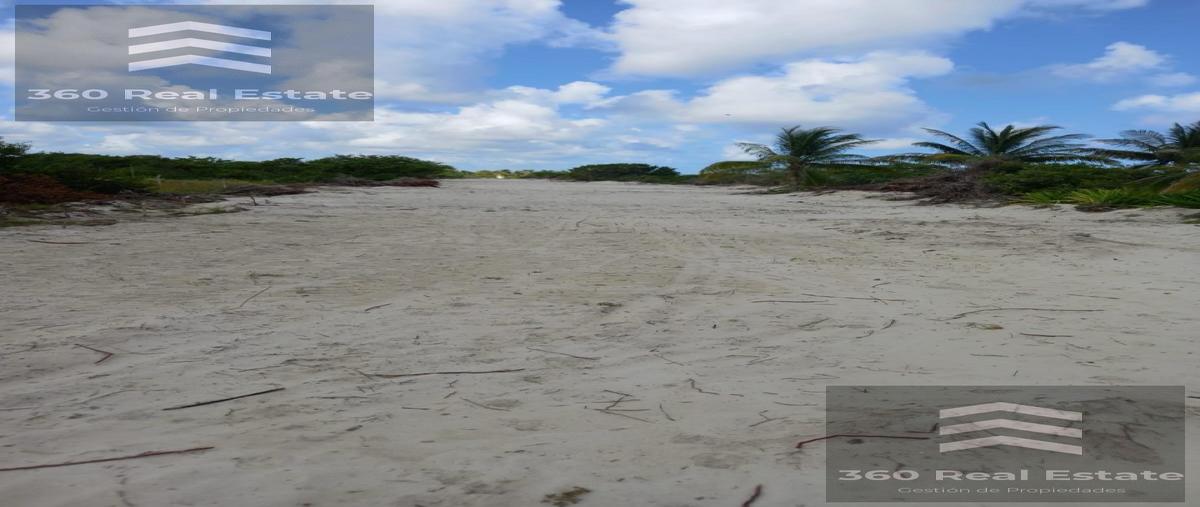 Foto de terreno habitacional en venta en  , mérida, mérida, yucatán, 30341543 No. 05