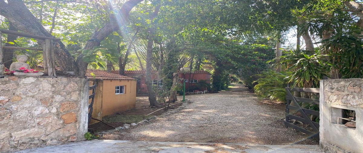 Foto de rancho en venta en  , mérida, mérida, yucatán, 30342734 No. 03
