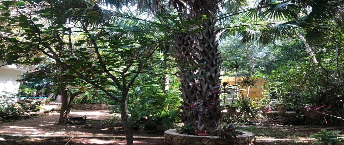Foto de rancho en venta en  , mérida, mérida, yucatán, 30342734 No. 04