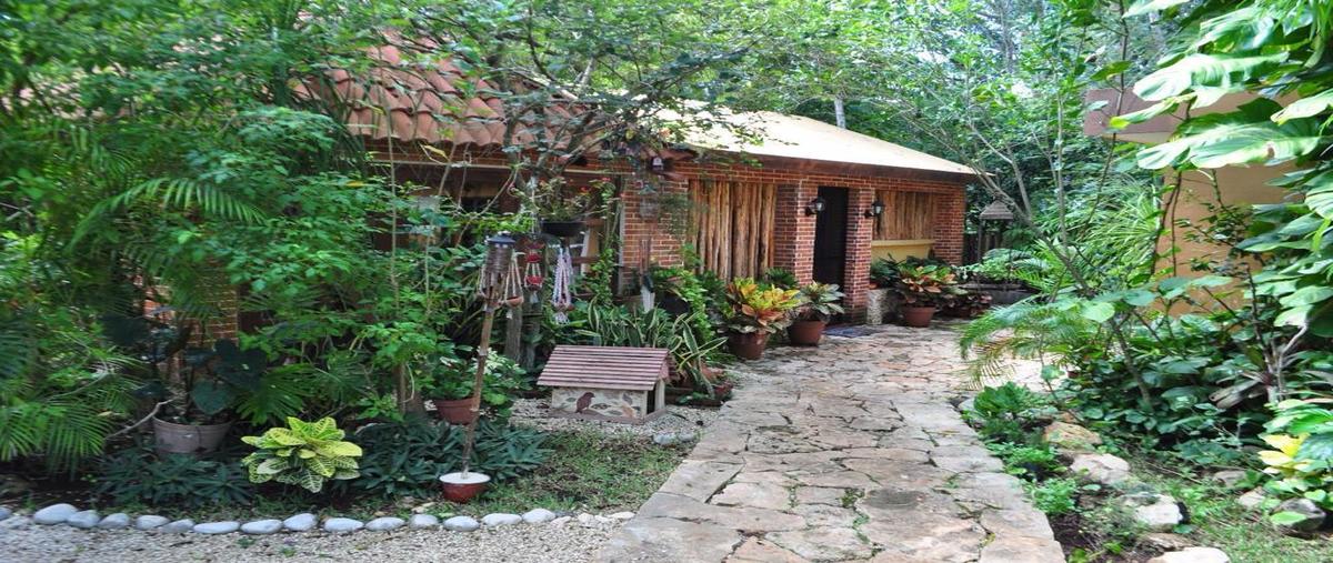 Foto de rancho en venta en  , mérida, mérida, yucatán, 30342734 No. 05