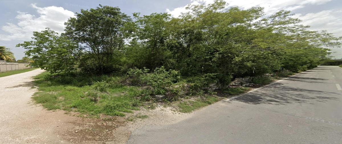 Foto de terreno habitacional en venta en  , mérida, mérida, yucatán, 30425937 No. 03
