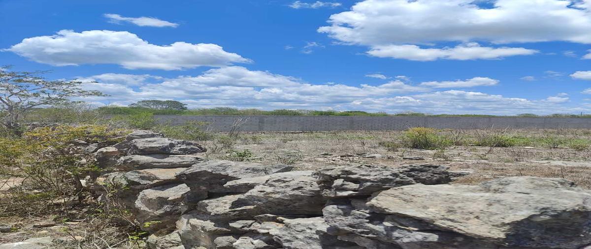 Foto de terreno habitacional en venta en  , mérida, mérida, yucatán, 0 No. 05