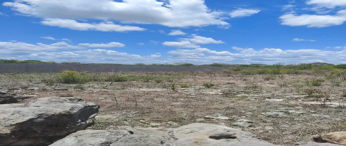 Foto de terreno habitacional en venta en  , mérida, mérida, yucatán, 0 No. 06