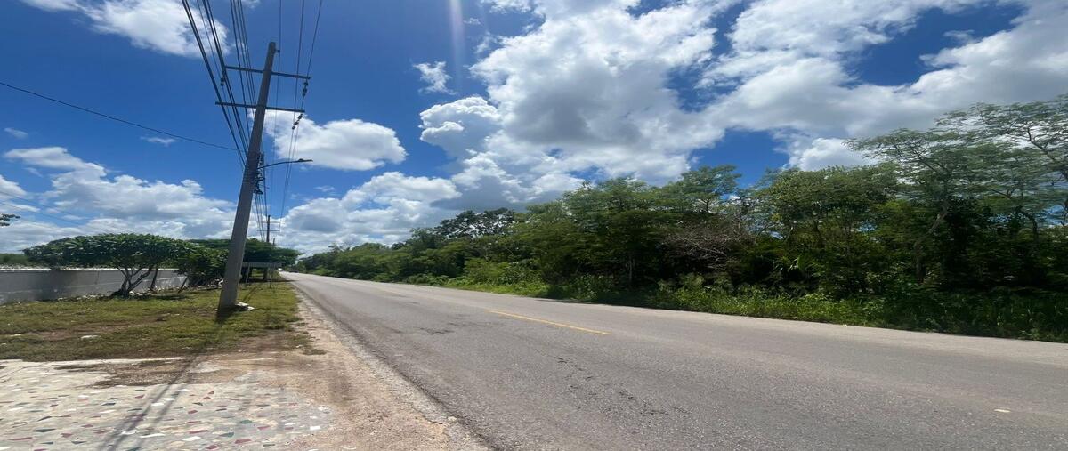 Foto de terreno habitacional en venta en  , mérida, mérida, yucatán, 0 No. 05