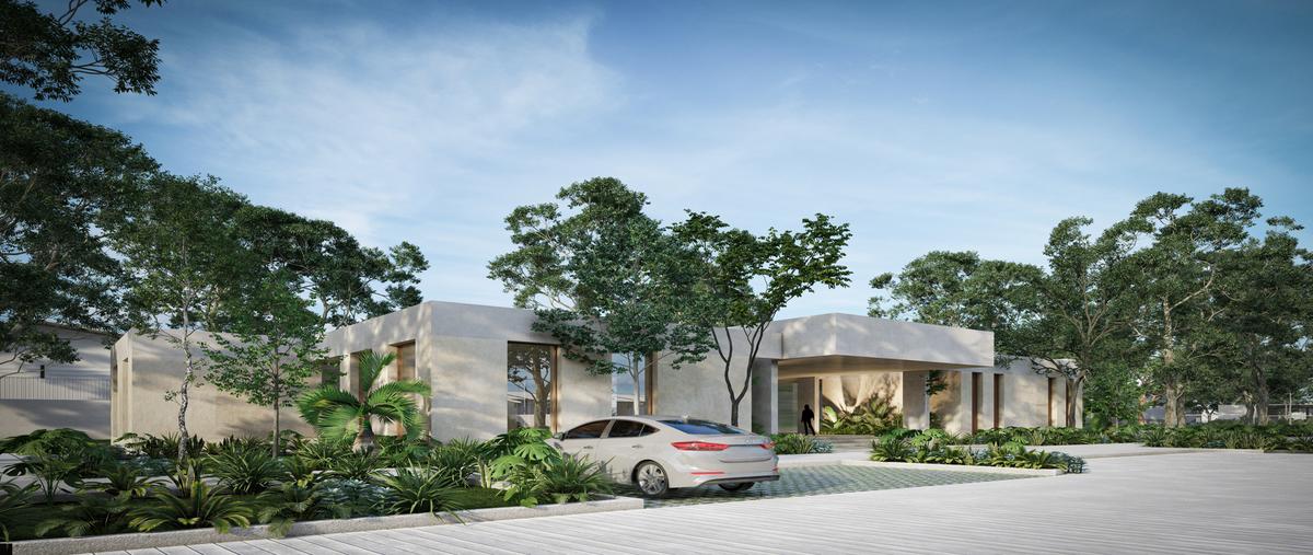 Foto de terreno habitacional en venta en  , mérida, mérida, yucatán, 0 No. 05