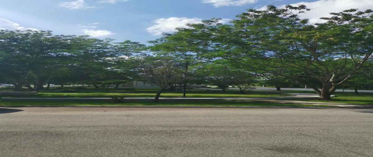 Foto de terreno habitacional en venta en  , mérida, mérida, yucatán, 0 No. 05