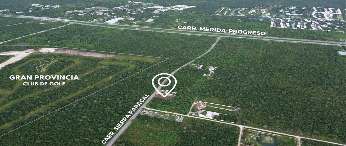 Foto de terreno habitacional en venta en  , mérida, mérida, yucatán, 0 No. 04