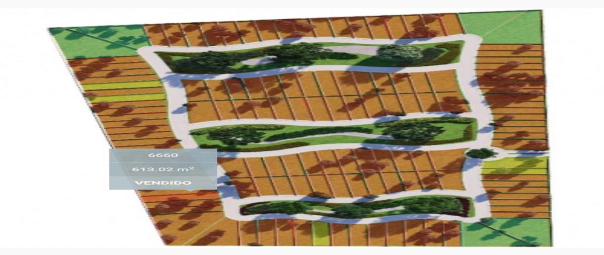 Foto de terreno habitacional en venta en  , mérida, mérida, yucatán, 0 No. 03