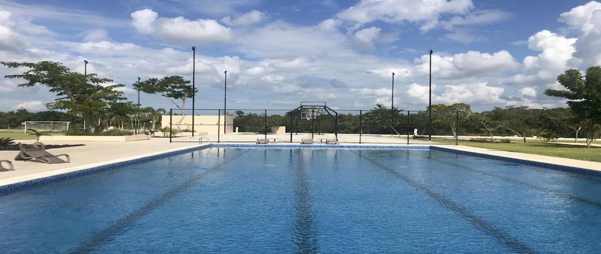 Foto de terreno habitacional en , mérida, mérida, yucatán, 0 foto 04 Foto de terreno habitacional en venta en , mérida, mérida, yucatán, 0 No. 04