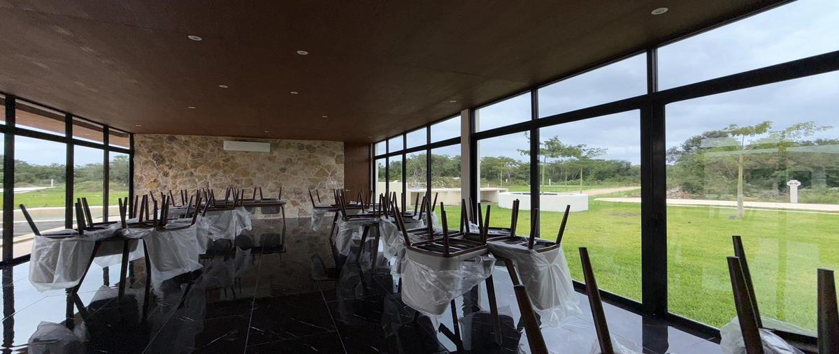 Foto de terreno habitacional en , mérida, mérida, yucatán, 0 foto 02 Foto de terreno habitacional en venta en , mérida, mérida, yucatán, 0 No. 02