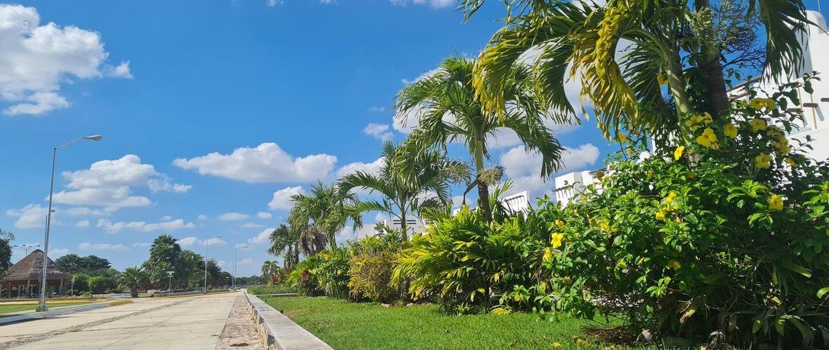 Foto de terreno habitacional en venta en  , mérida, mérida, yucatán, 30707191 No. 04