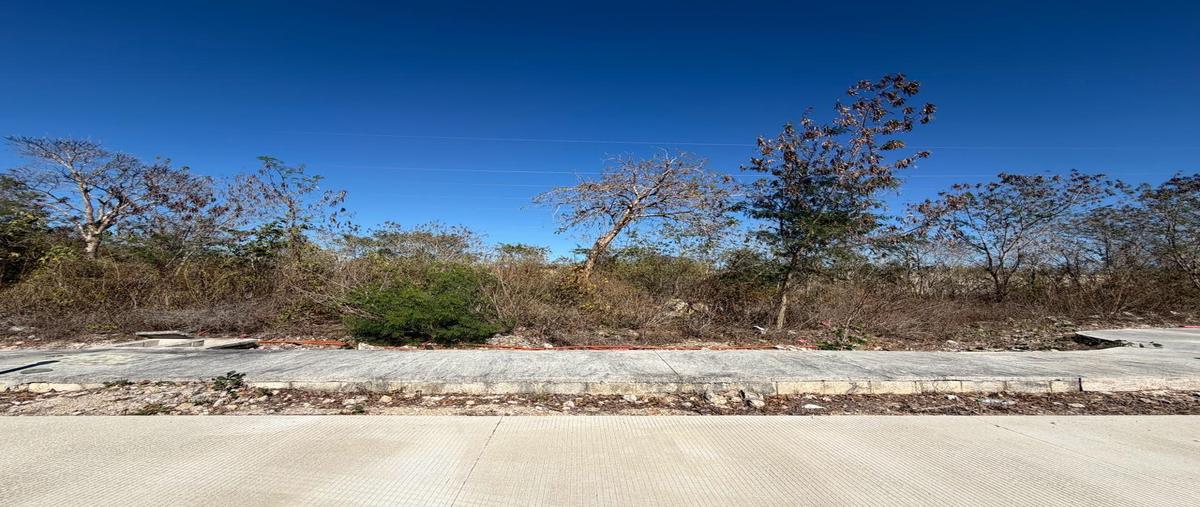 Foto de terreno habitacional en venta en  , mérida, mérida, yucatán, 0 No. 05