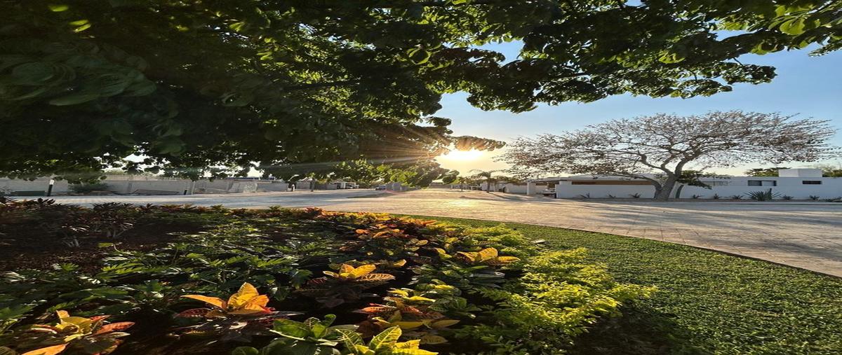 Foto de terreno habitacional en venta en  , mérida, mérida, yucatán, 0 No. 03