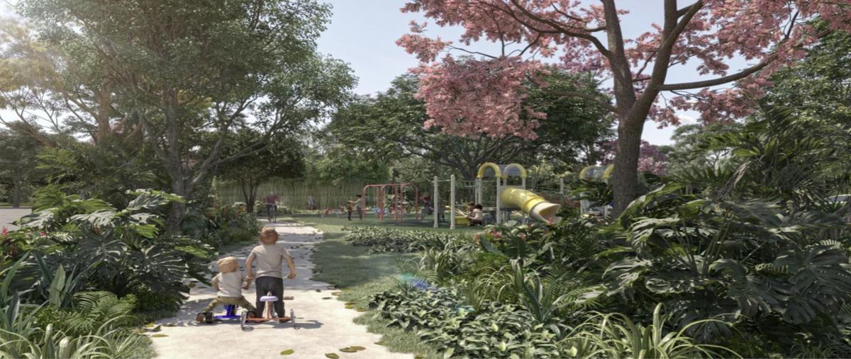 Foto de terreno habitacional en , mérida, mérida, yucatán, 0 foto 05 Foto de terreno habitacional en venta en , mérida, mérida, yucatán, 0 No. 05