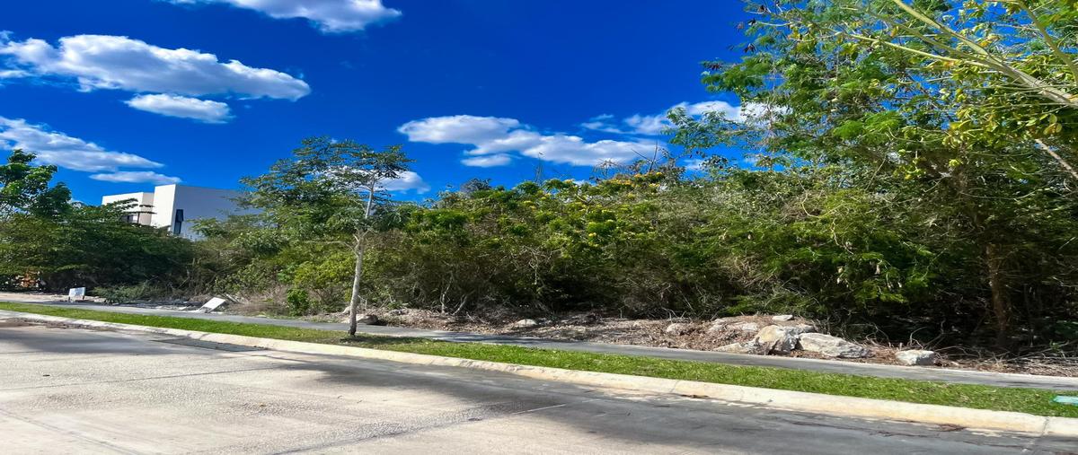 Foto de terreno habitacional en , mérida, mérida, yucatán, 0 foto 03 Foto de terreno habitacional en venta en , mérida, mérida, yucatán, 0 No. 03