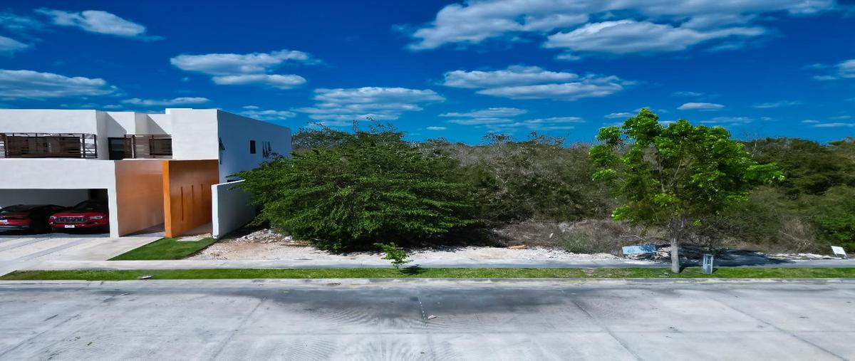 Foto de terreno habitacional en , mérida, mérida, yucatán, 0 foto 04 Foto de terreno habitacional en venta en , mérida, mérida, yucatán, 0 No. 04