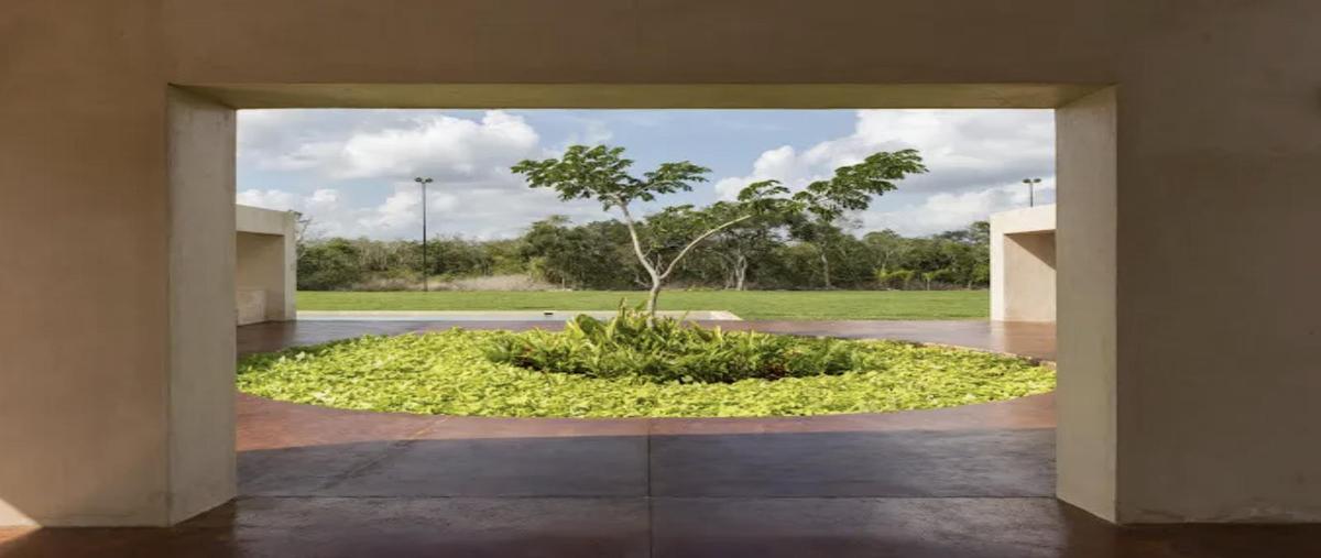 Foto de terreno habitacional en venta en  , mérida, mérida, yucatán, 0 No. 03