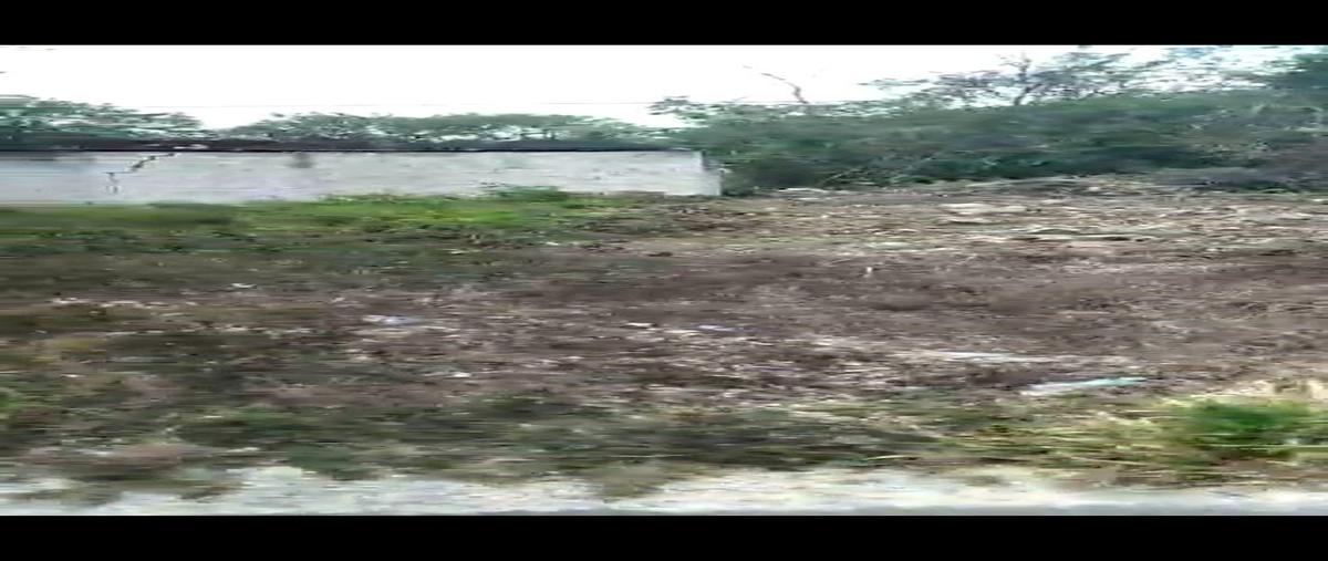 Foto de terreno habitacional en venta en  , mérida, mérida, yucatán, 0 No. 04