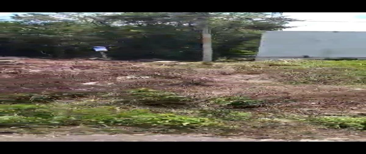 Foto de terreno habitacional en venta en  , mérida, mérida, yucatán, 0 No. 05