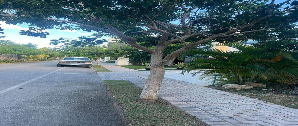 Foto de terreno habitacional en venta en  , mérida, mérida, yucatán, 0 No. 04