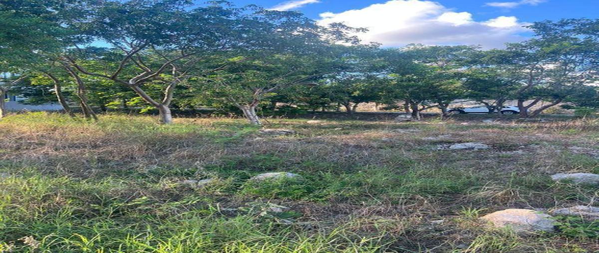 Foto de terreno habitacional en venta en  , mérida, mérida, yucatán, 0 No. 05