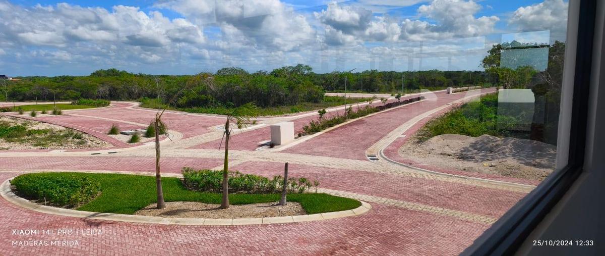Foto de terreno habitacional en venta en  , mérida, mérida, yucatán, 0 No. 04