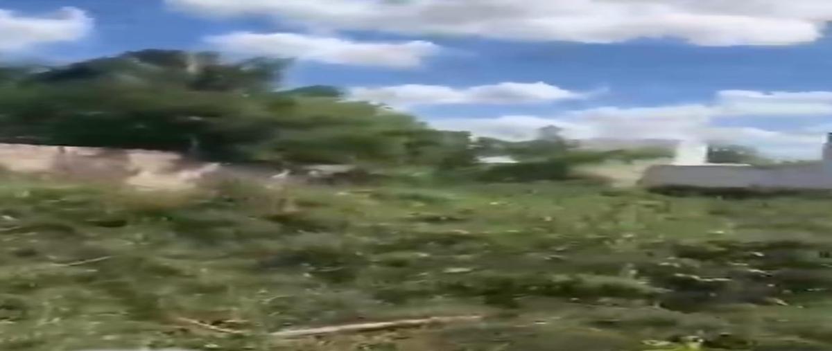 Foto de terreno habitacional en venta en  , mérida, mérida, yucatán, 0 No. 04