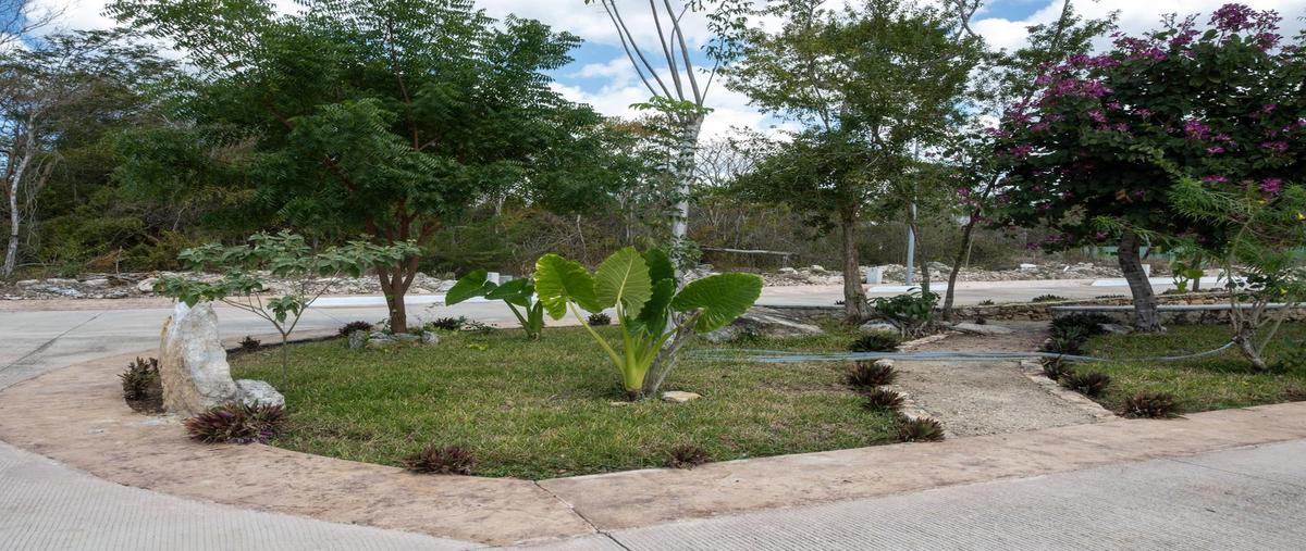 Foto de terreno habitacional en venta en  , mérida, mérida, yucatán, 0 No. 04