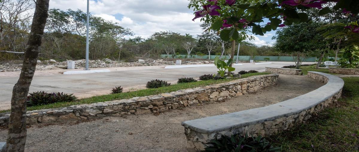 Foto de terreno habitacional en venta en  , mérida, mérida, yucatán, 0 No. 05