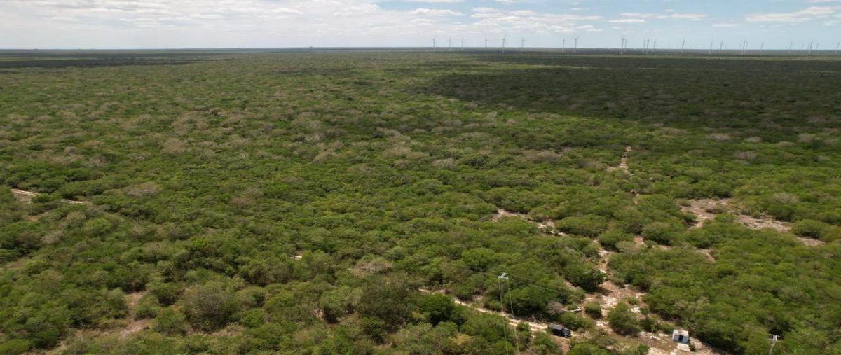 Foto de terreno habitacional en venta en  , mérida, mérida, yucatán, 0 No. 04
