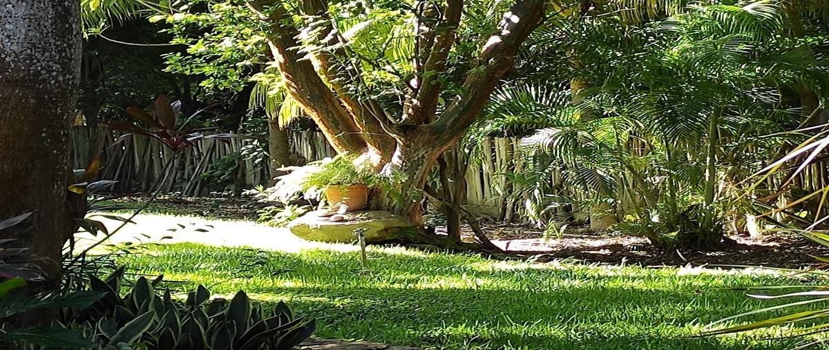 Foto de casa en venta en mérida , molas, mérida, yucatán, 28964412 No. 05