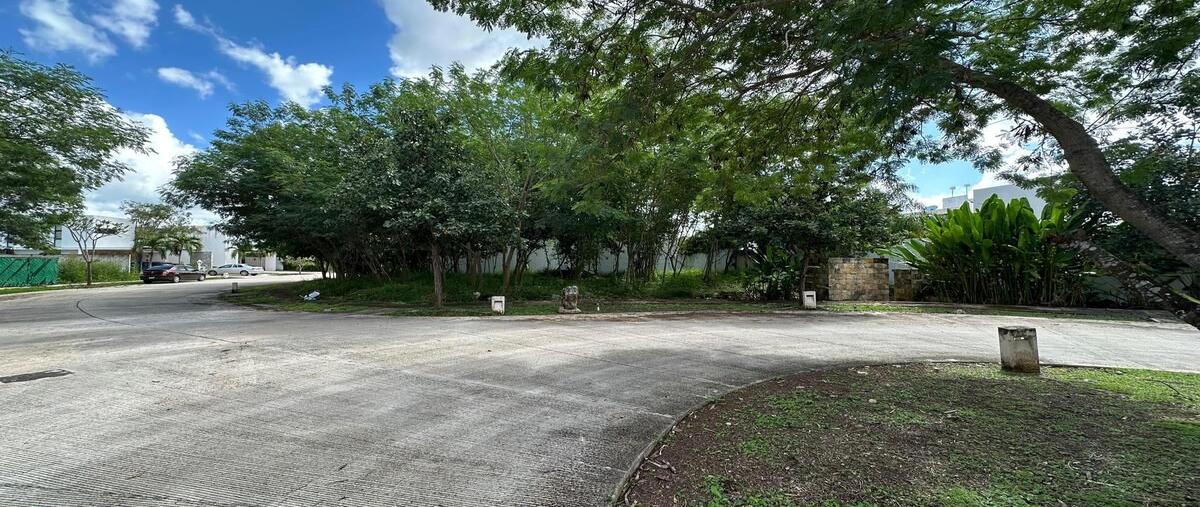 Foto de terreno habitacional en venta en mérida , parque natura, mérida, yucatán, 0 No. 03