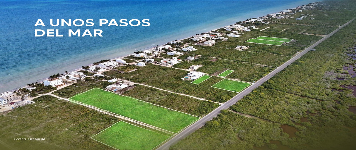 Foto de terreno habitacional en venta en merida , san diego, dzemul, yucatán, 0 No. 03